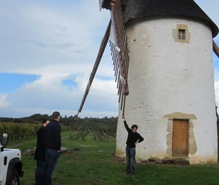 MOULIN BLANC & moi